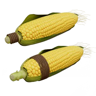 14-Props_281_RCB_玉米绳子 - 1