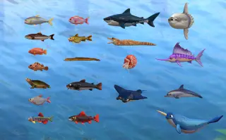 34-钓鱼大师第二期 - 1