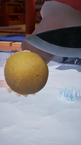 65-250224_支_003切水果猕猴桃_三冰_竖 - 1