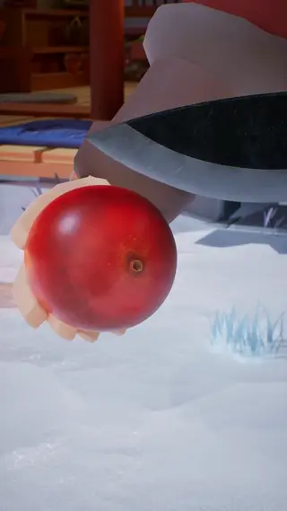 66-250224_支_004切水果石榴_三冰_竖 - 1