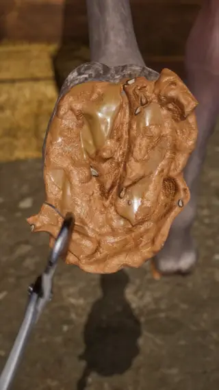 83-250607_支_021修马蹄3_三冰_竖 - 1