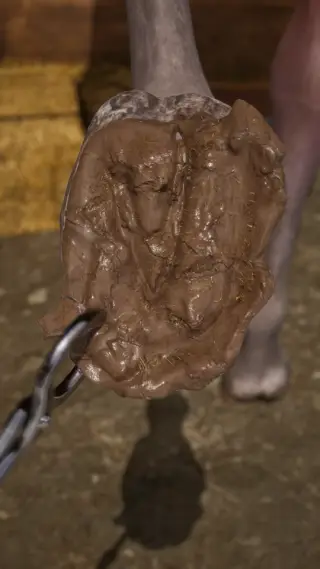 84-250607_支_022修马蹄4_三冰_竖 - 1