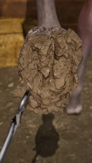 86-250607_支_024修马蹄6_三冰_竖 - 1