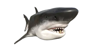 161-敲牙齿版 - 1