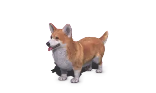 164-Animal_013_柯基 - 1