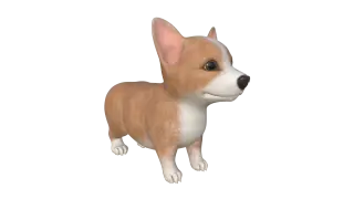 165-Animal_013_柯基 - 1