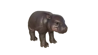 166-Animal_014_倭河马 - 1