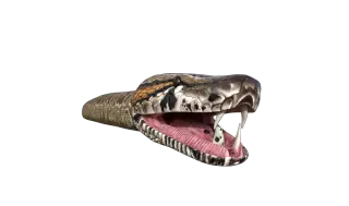 172-Animal_020_蛇蛇 - 1