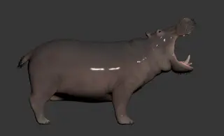 173-Animal_021_河马 - 1