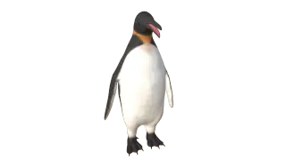 178-Animal_026_企鹅 - 1