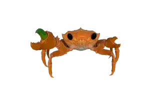 179-Animal_027_螃蟹 - 1