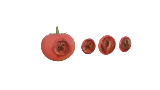 184-Props_003_西红柿 - 1