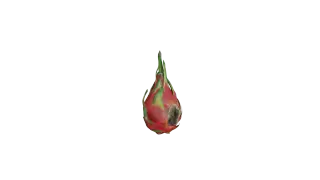 187-Props_010_火龙果 - 1