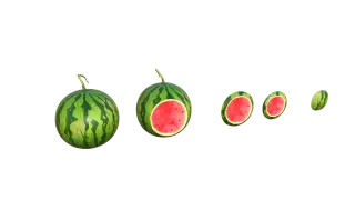 196-Props_109_西瓜 - 1