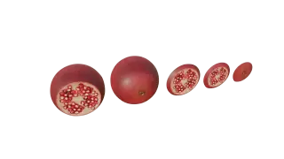 197-Props_110_石榴 - 1