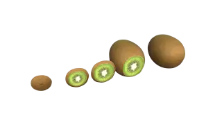 198-Props_111_泥猴桃 - 1