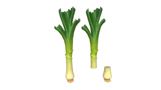 205-Props_128_大葱 - 1