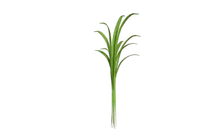 218-Props_139_韭菜 - 1