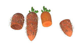 219-Props_142_胡萝卜 - 1