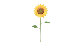 224-Props_125_向日葵 - 1
