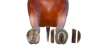 372-Props_014_马蹄子 - 1