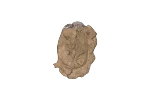 398-Props_180_马蹄 - 1