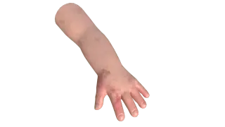 399-Props_181_胖手 - 1