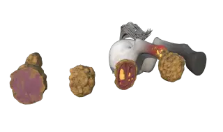 400-Props_187_马蹄 - 1