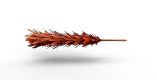 473-Props_222_鸡毛掸子 - 1