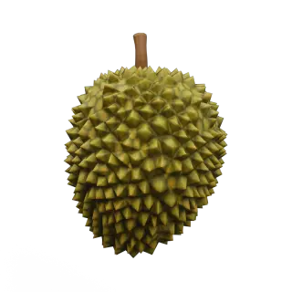 475-Props_221_榴莲 - 1