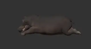 483-河马趴着pose - 1