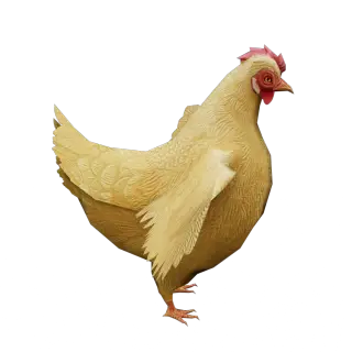 485-Animal_030_低模小鸡 - 1