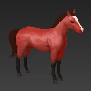 566-Mount_003_成年马_Fbx - 1