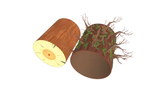 598-Props_059_mutou_03 - 1